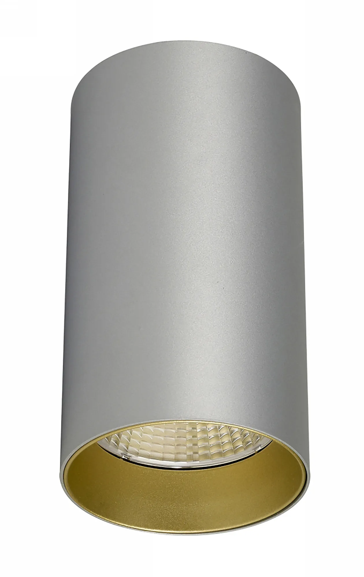 DL300107  Eos 20, 20W Silver & Gold Surface LED Spotlight 1480lm 10° 2700K IP20